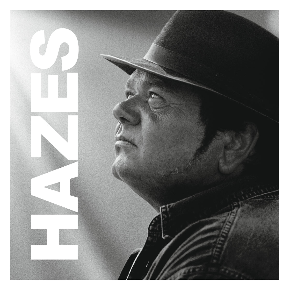 HAZES/BEST OF/VINYLE NOIR AUDIOPHILE 180GR - Front Cover