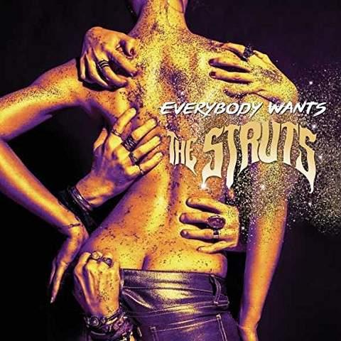 Everybody wants - Front Cover