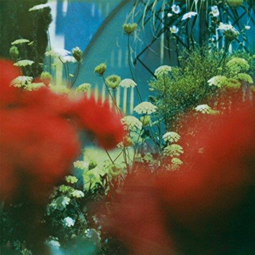 The haze - Front Cover