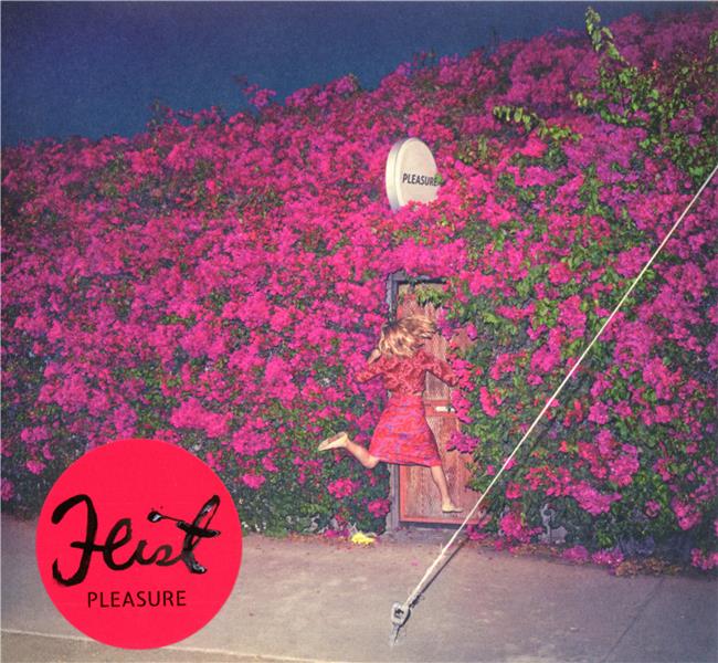 Pleasure - Front Cover