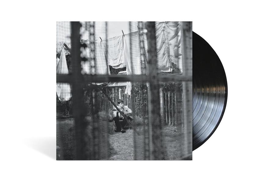 Chaos And Creation In The Backyard - Front Cover