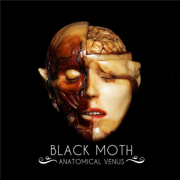 Anatomical Venus - Front Cover