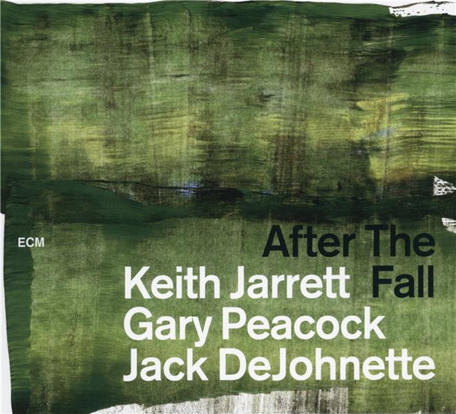After the fall - Front Cover