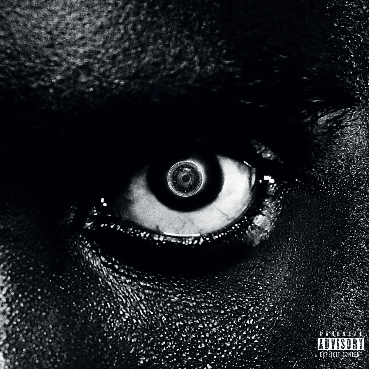 Lithopédion - Front Cover