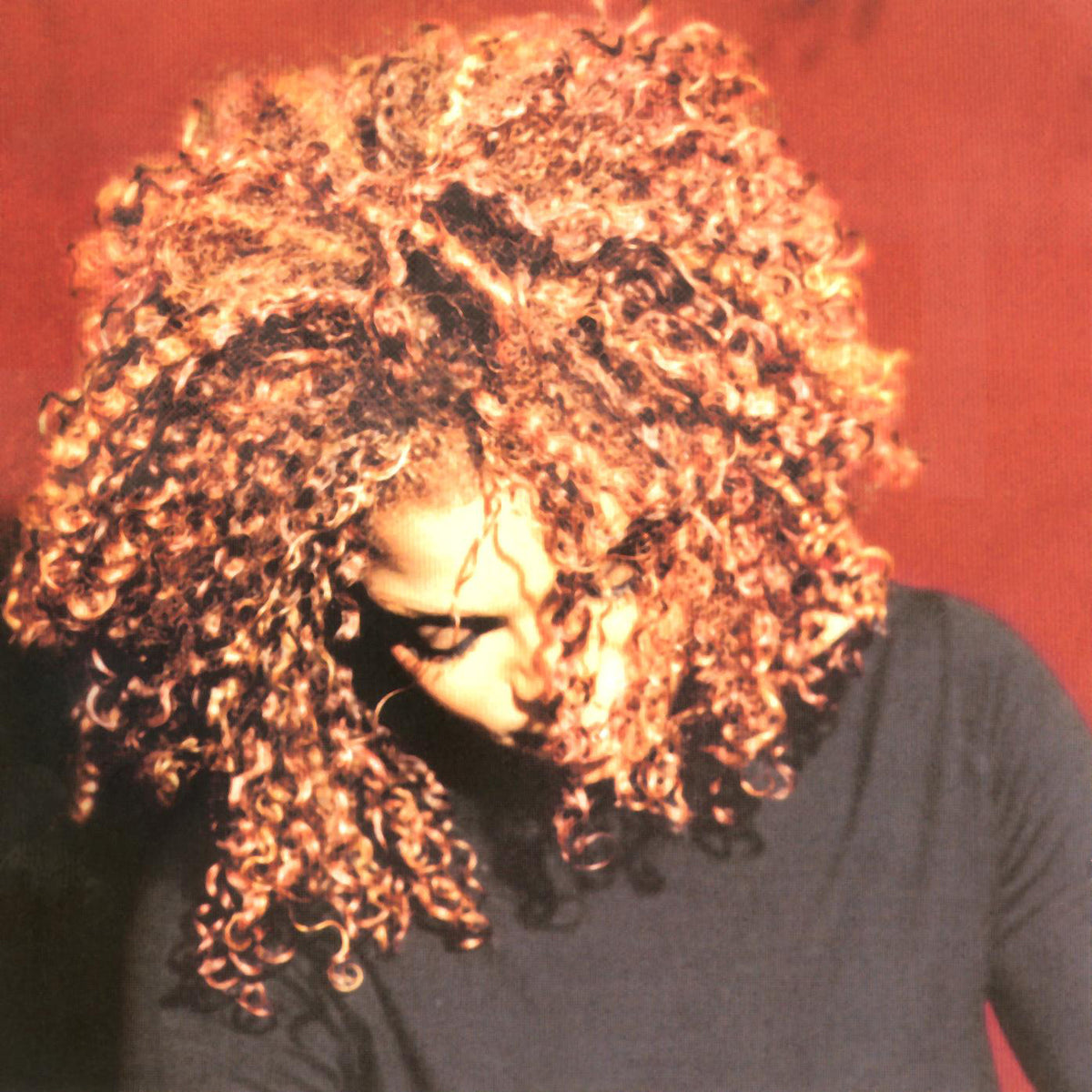 The Velvet Rope - Front Cover