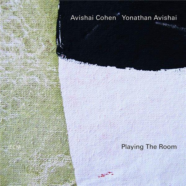 Playing The Room - Front Cover