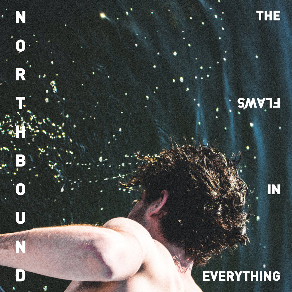 FLAWS IN EVERYTHING - Front Cover
