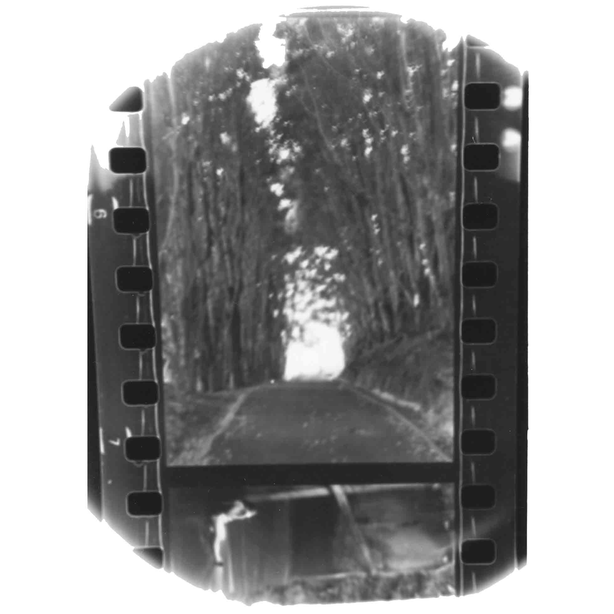 Winter Forever - Vinyle Swirl Ocre & Argent - Front Cover