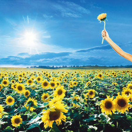 THANK YOU - Front Cover