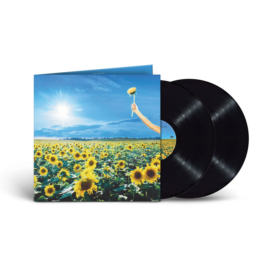 THANK YOU - Back Cover