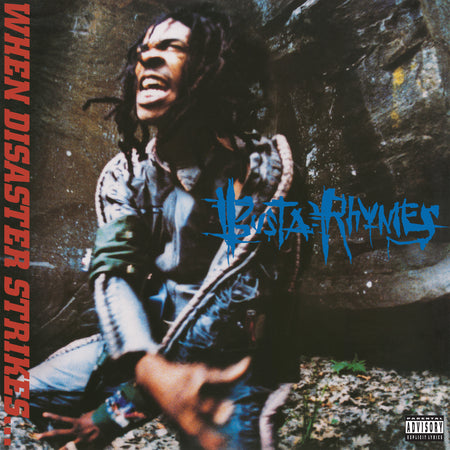 WHEN DISASTER STRIKES - Front Cover