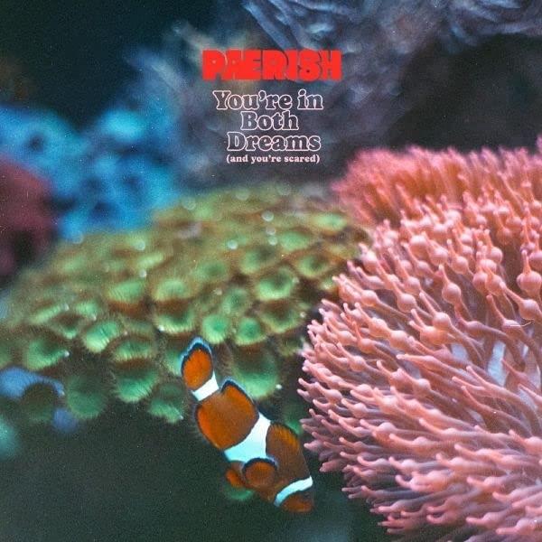 YOU RE IN BOTH DREAMS AND YOU RE SCARED - Front Cover