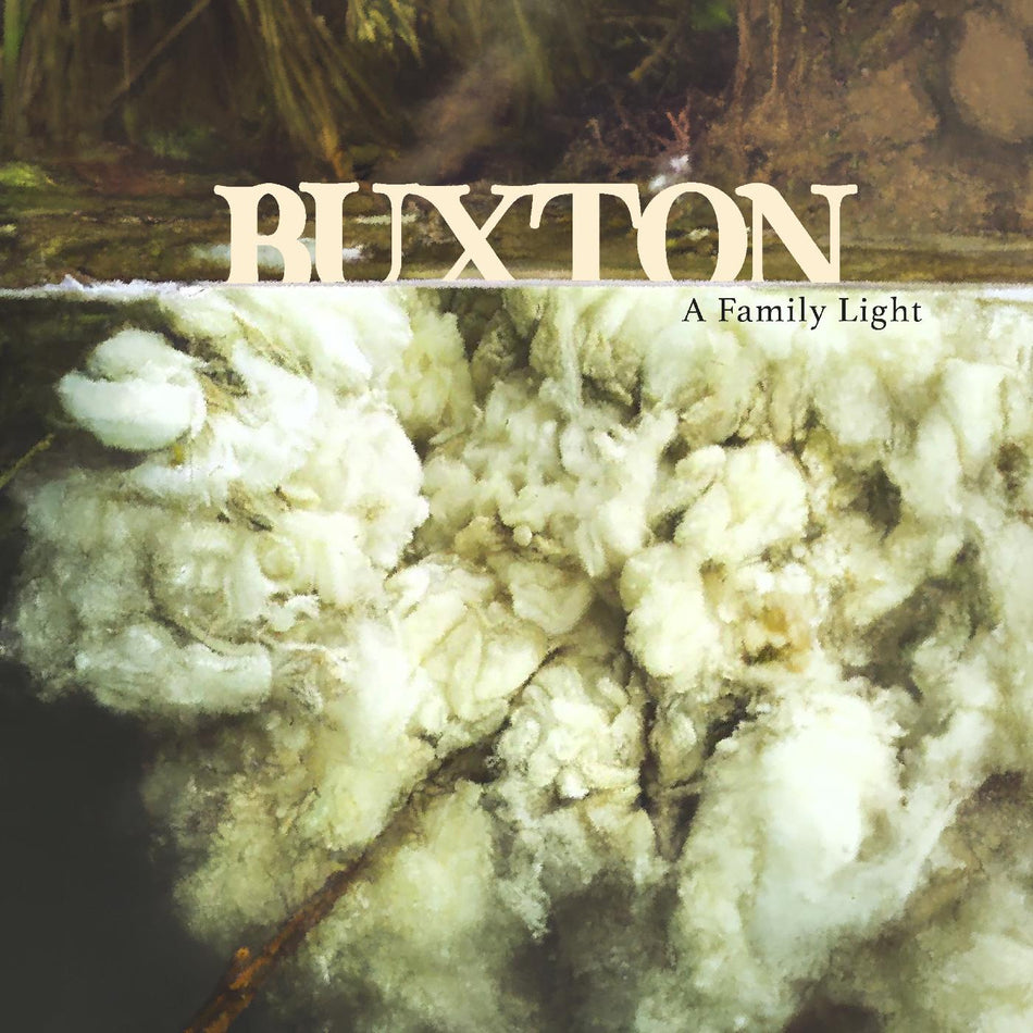A FAMILY LIGHT/VINYLE TRANSPARENT GLACE - Front Cover