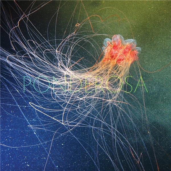 POOL PARTY - Front Cover