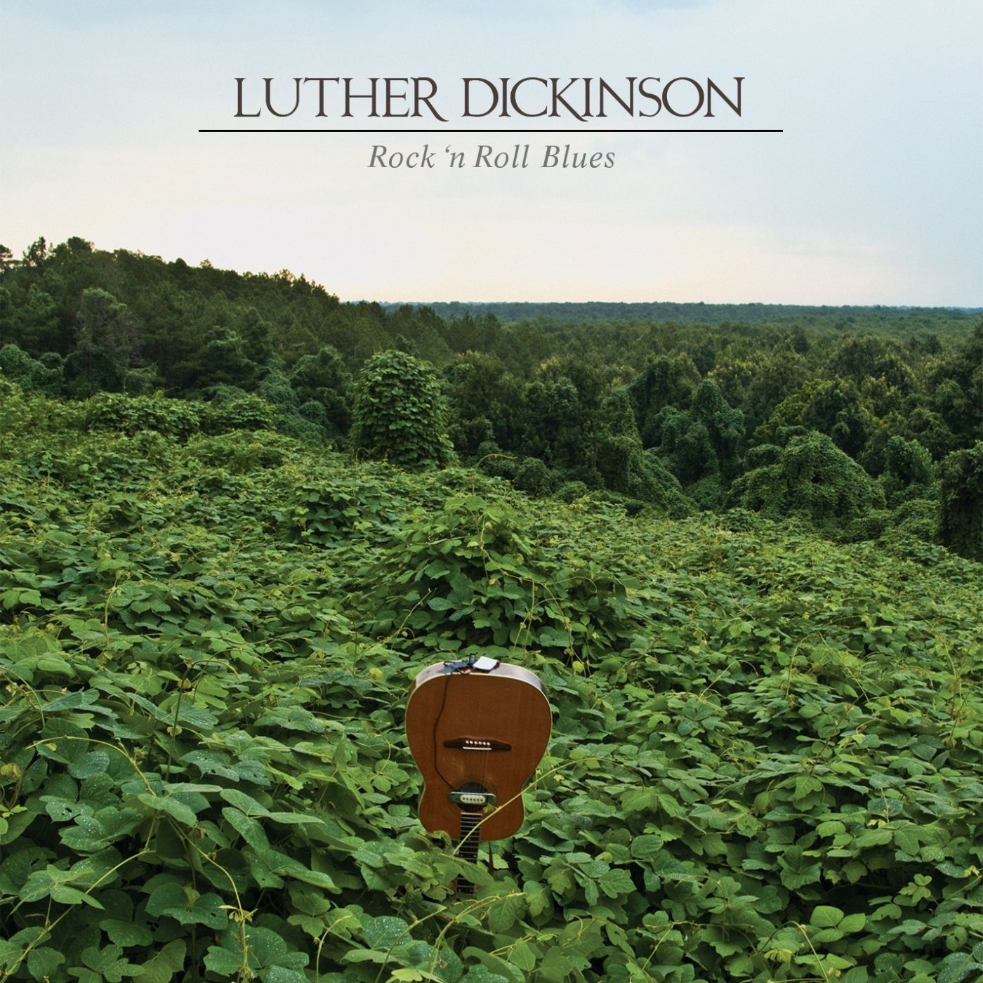 ROCK N ROLL BLUES/VINYLE VERT TRANSLUCIDE/LIMITED - Front Cover