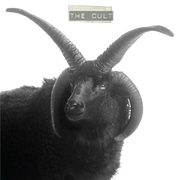 THE CULT - Front Cover