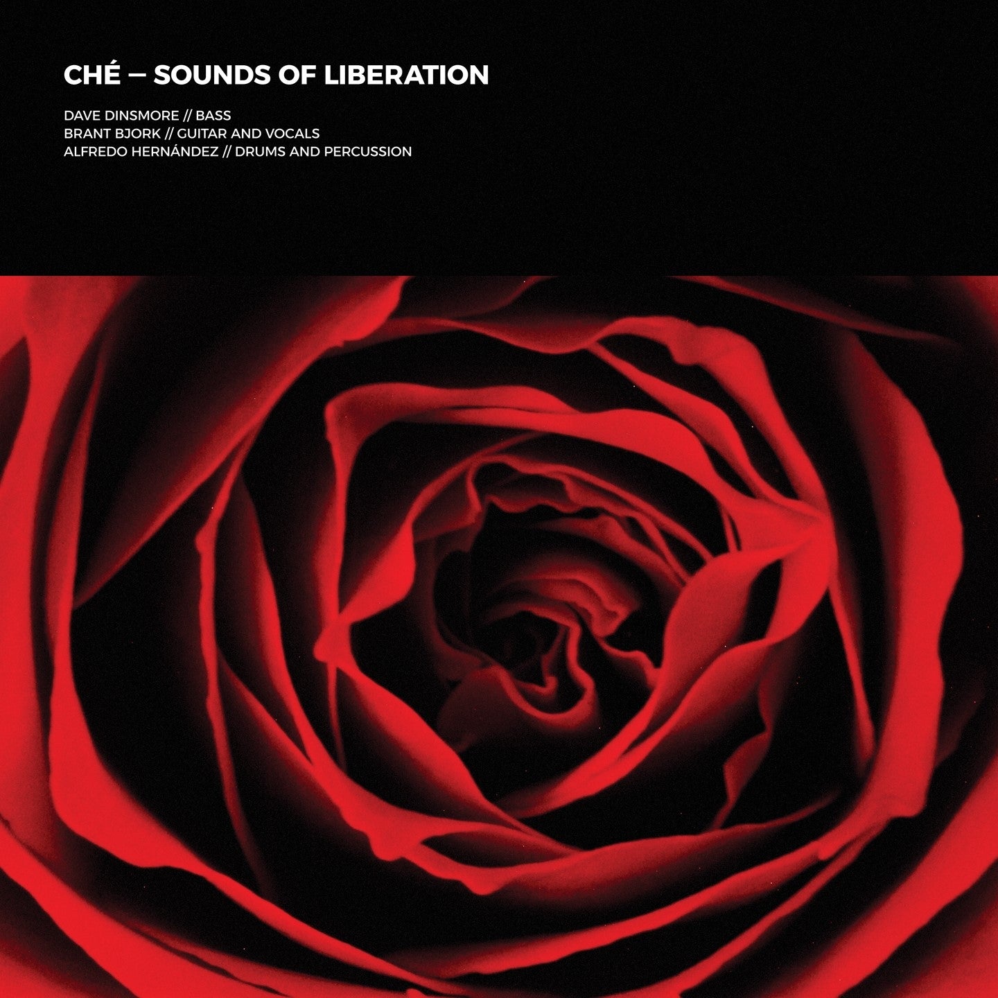 Sounds Of Liberation - Front Cover