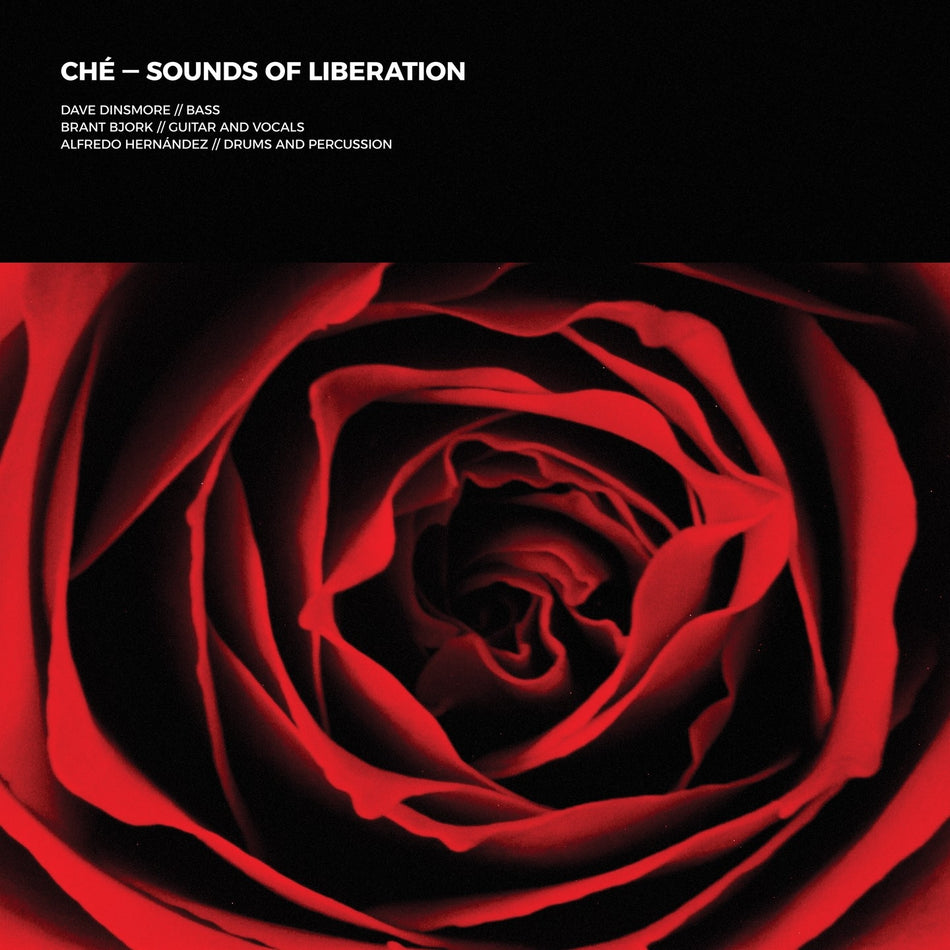 Sounds Of Liberation - Front Cover
