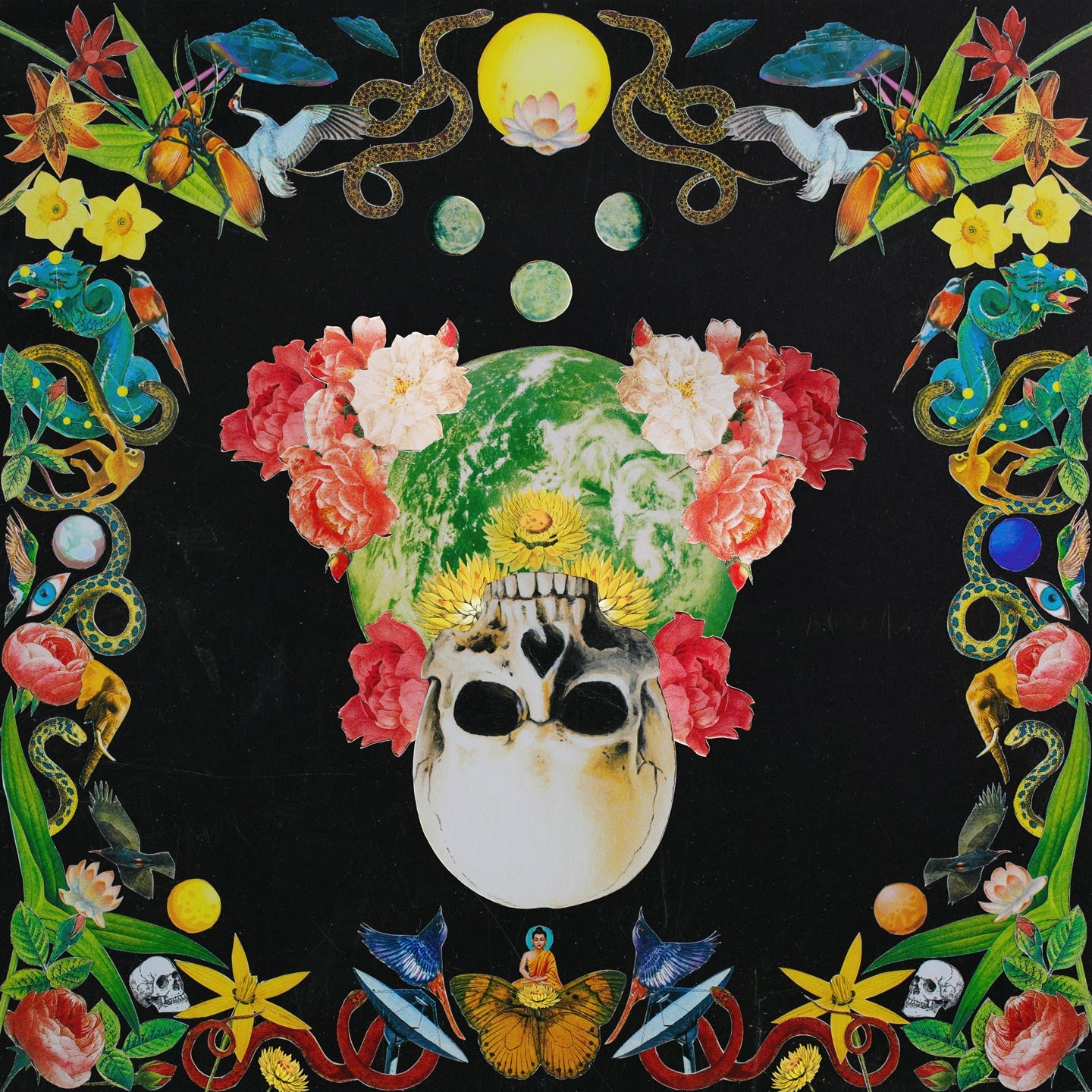 Helichrysum - Front Cover
