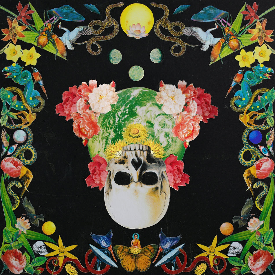 Helichrysum - Front Cover