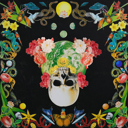 Helichrysum - Front Cover