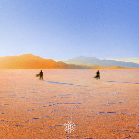 Insight Out - Front Cover