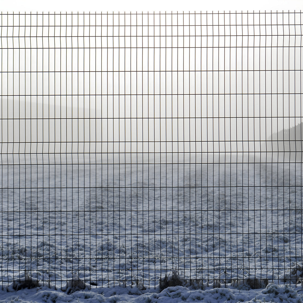 Vanished In Transition - Front Cover