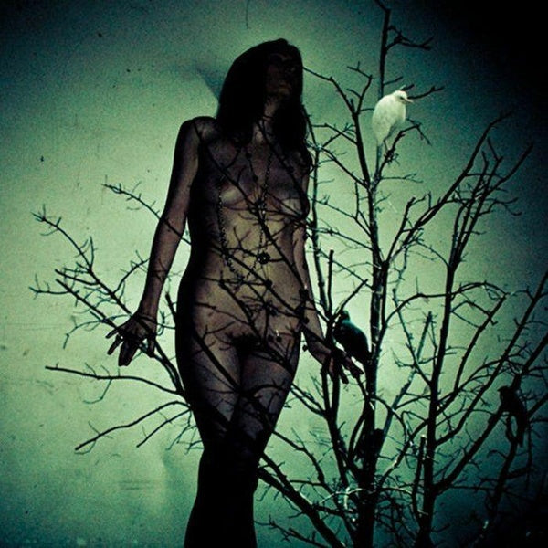 Atlas Moth An Ache for the Distance CD album - Front Cover