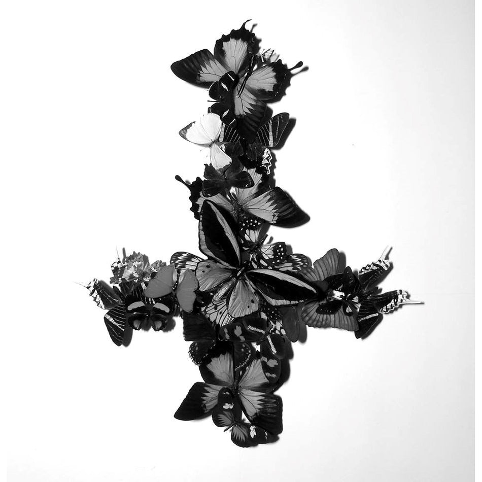 Never Forever - Front Cover