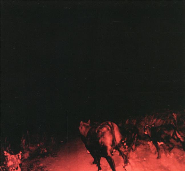 Shadow on everything - Front Cover
