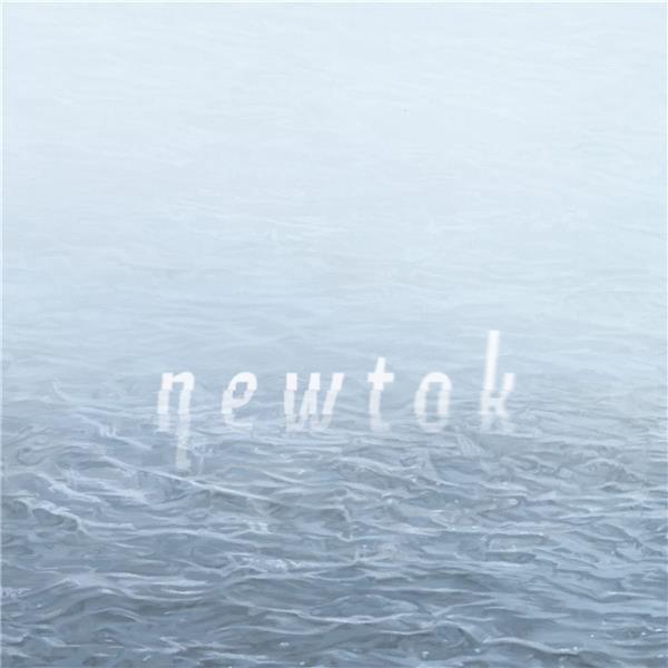 Newtok - Vinyle Vert 160 Gr - Front Cover