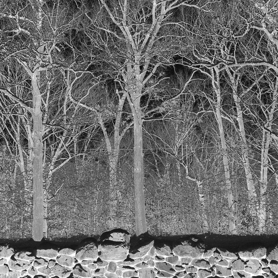 Sunshine And Balance Beams - Front Cover