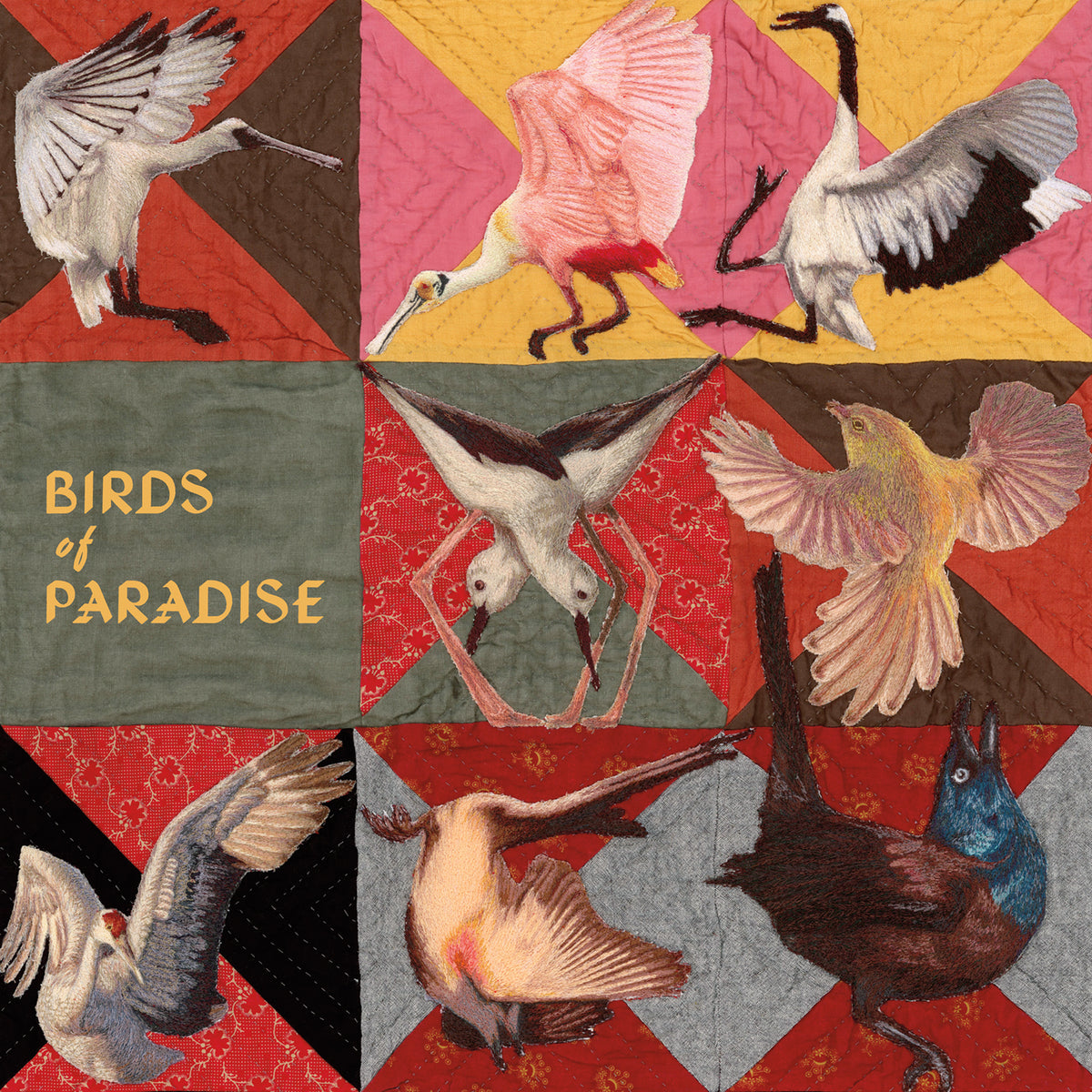 Birds Of Paradise - Vinyle Rose - Front Cover