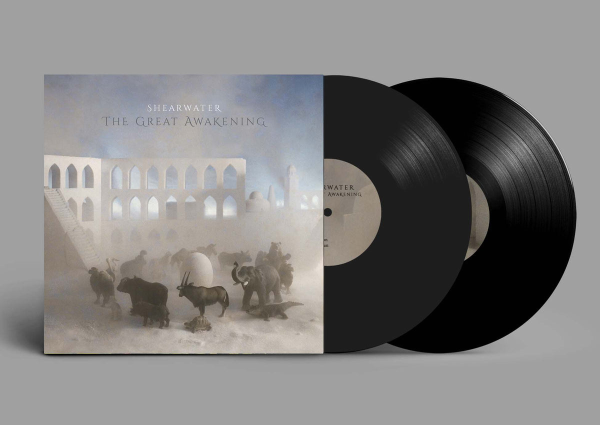 The Great Awakening - Front Cover