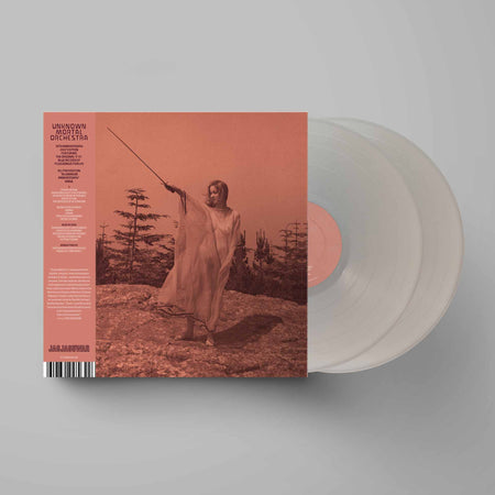 Ii (10Th Anniversary Edition) - Vinyle Aluminium - Front Cover
