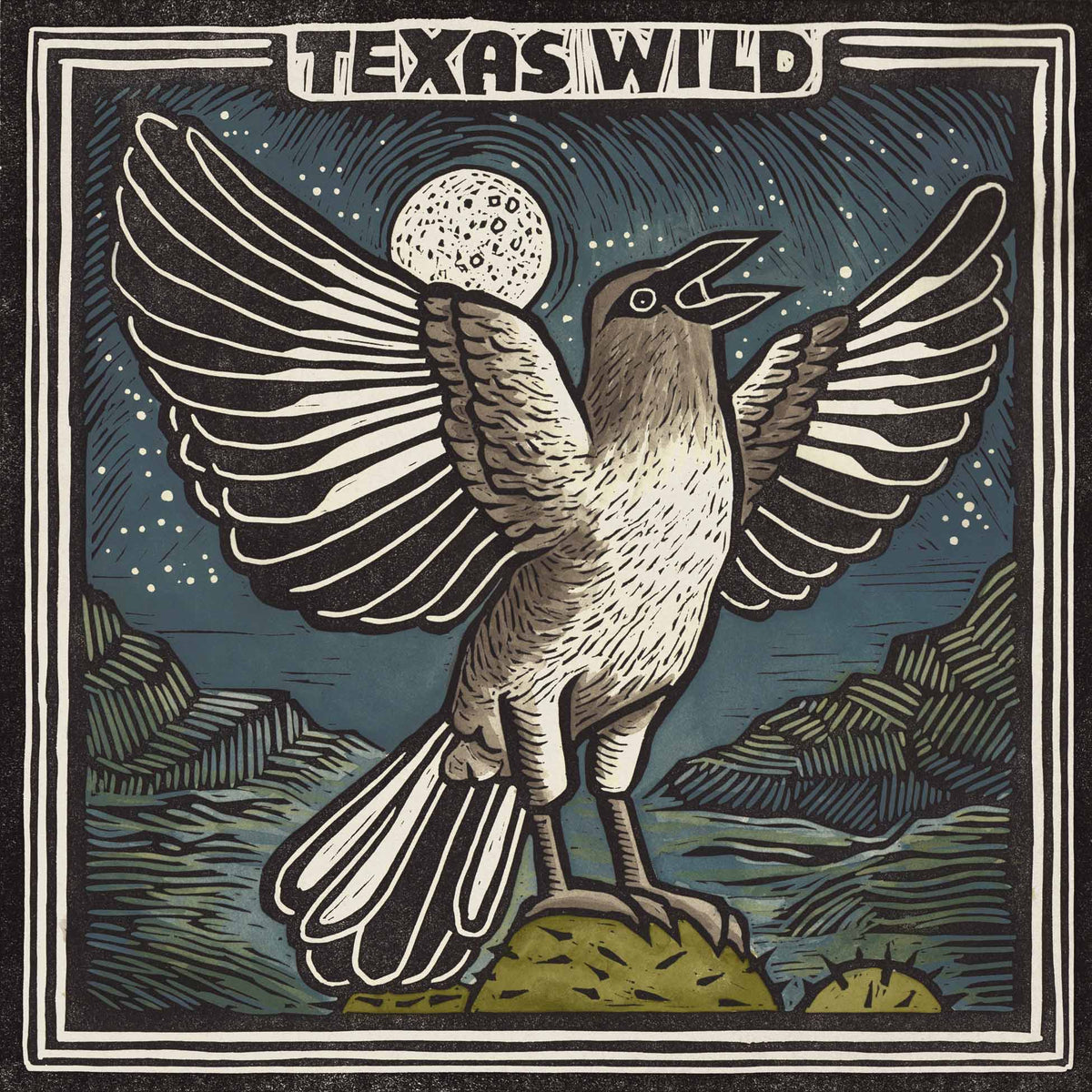 Texas Wild - Front Cover