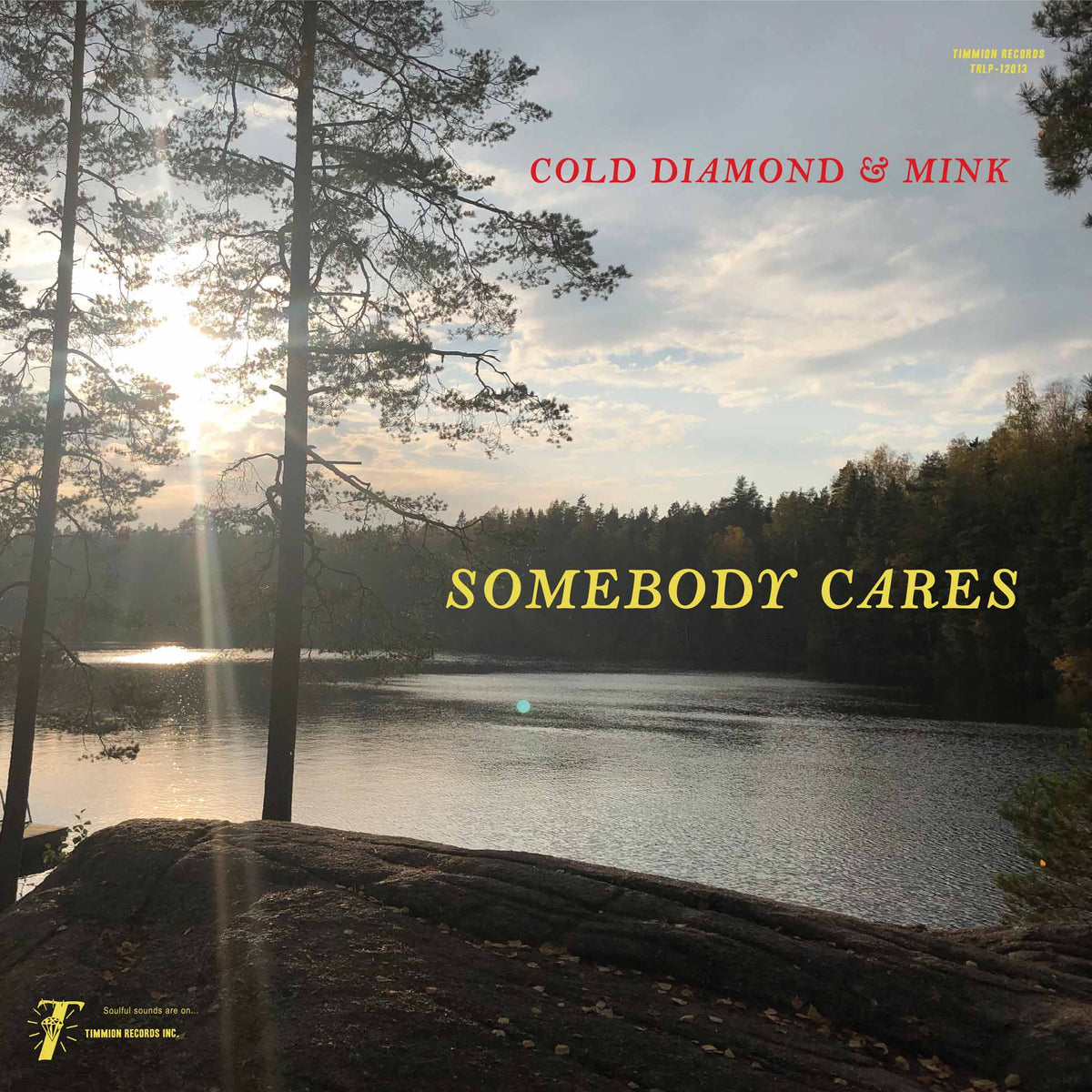 Somebody Cares (Instrumentals) - Front Cover
