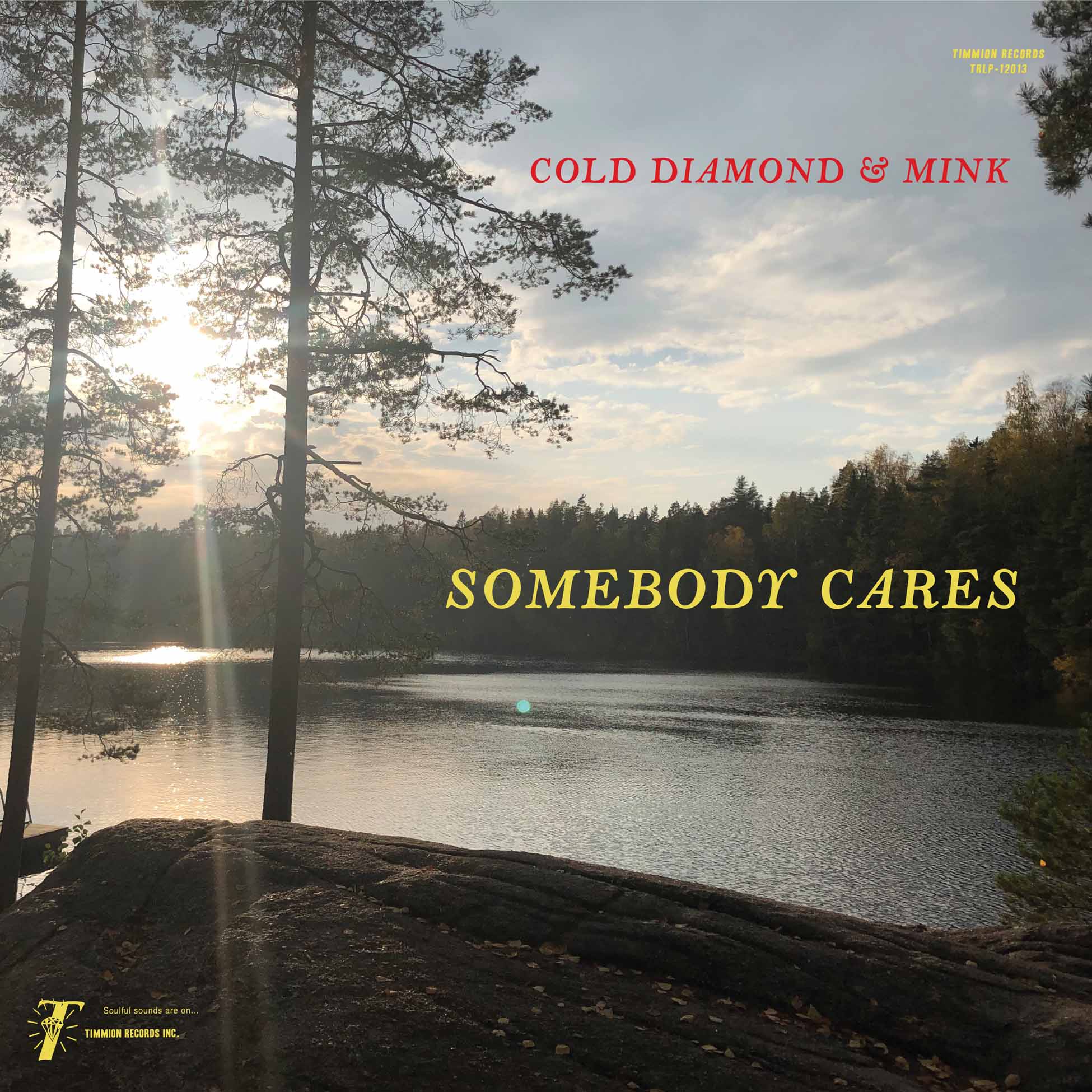 Somebody Cares (Instrumentals) - Front Cover