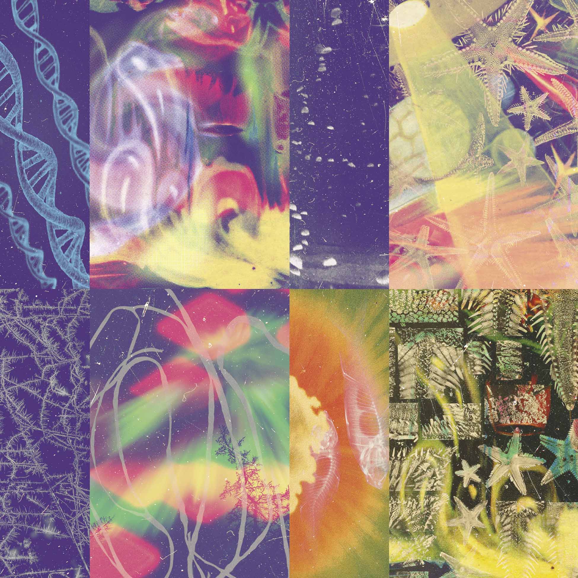 The Neon Gate - Front Cover