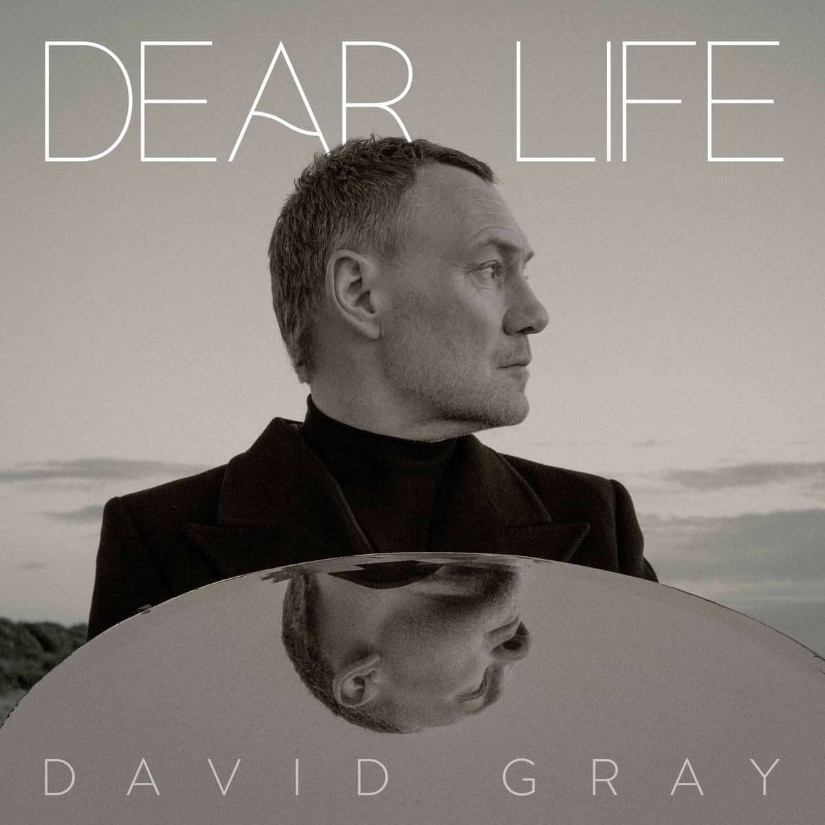 Dear Life - Front Cover