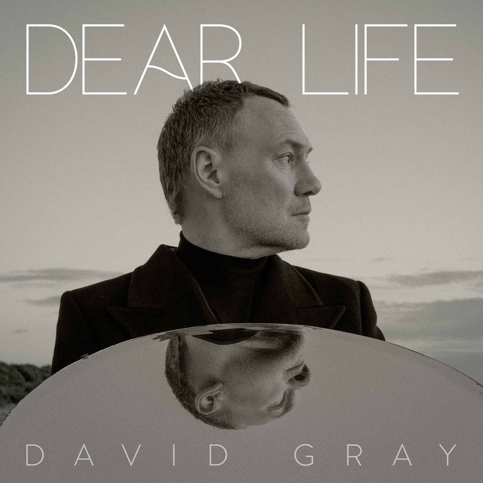 Dear Life - Front Cover