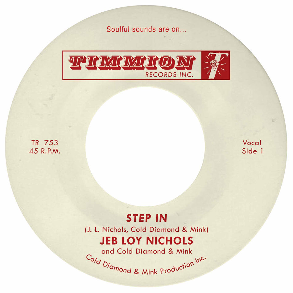 Step In - Front Cover