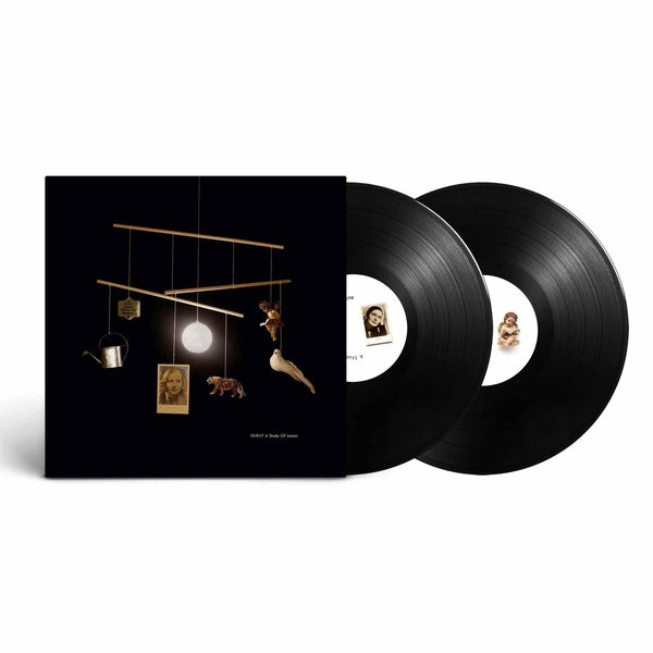 A Study Of Losses - Front Cover