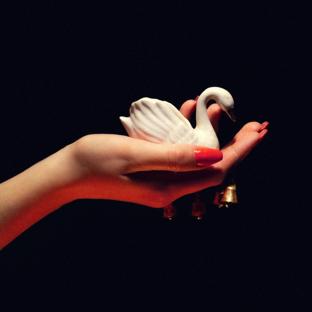 CYGNUS - Front Cover