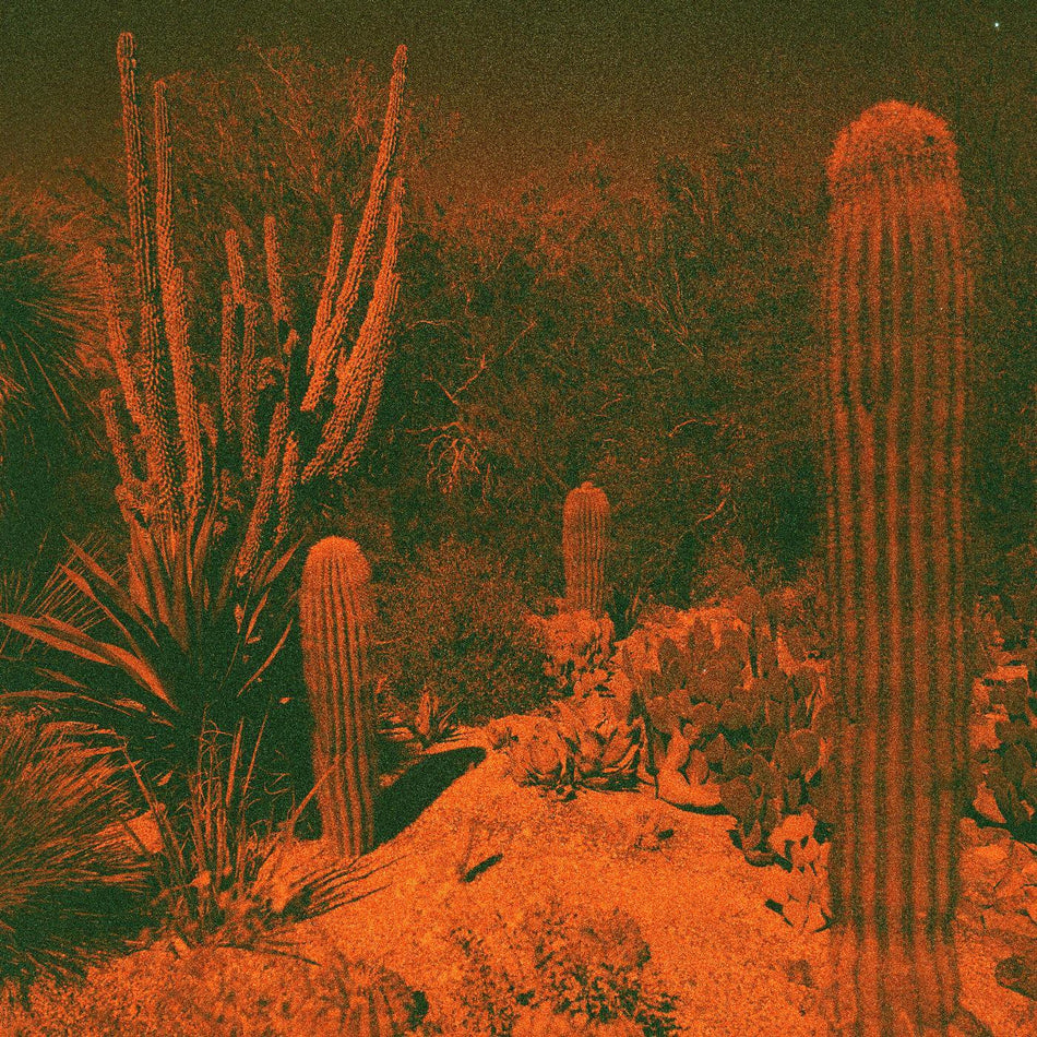 ANTICIPATION - Front Cover
