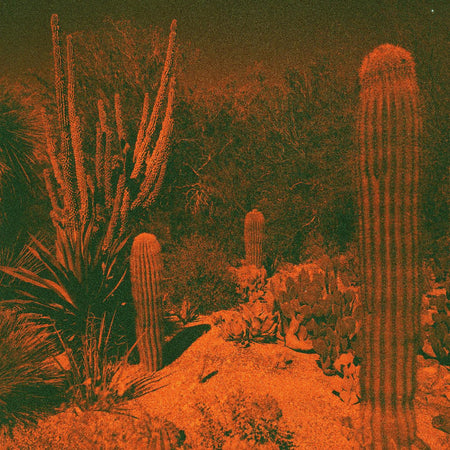 ANTICIPATION - Front Cover