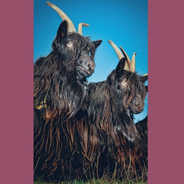 Silence Will Never Die/White Vinyl - Front Cover