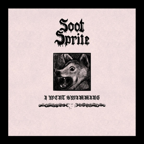 I Went Swimming / Home Among Your Bones - Front Cover