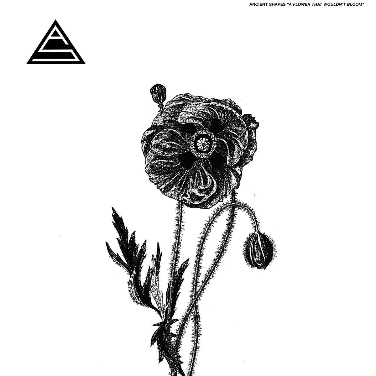 FLOWER THAT WOULDN T BLOOM - Front Cover