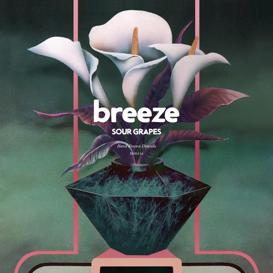 SOUR GRAPES/VINYLE NOIR TACHETE VERT ET VIOLET - Front Cover